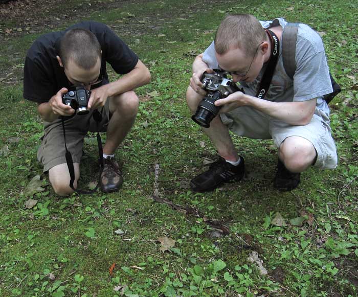 shooting a salamander