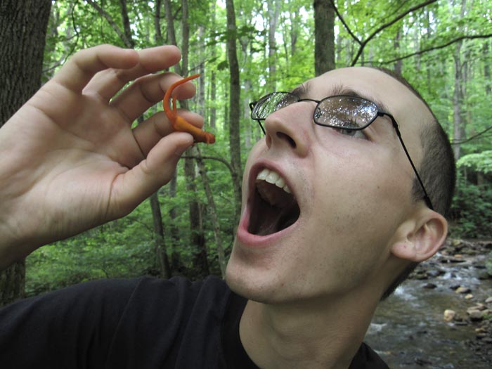 taste like chicken