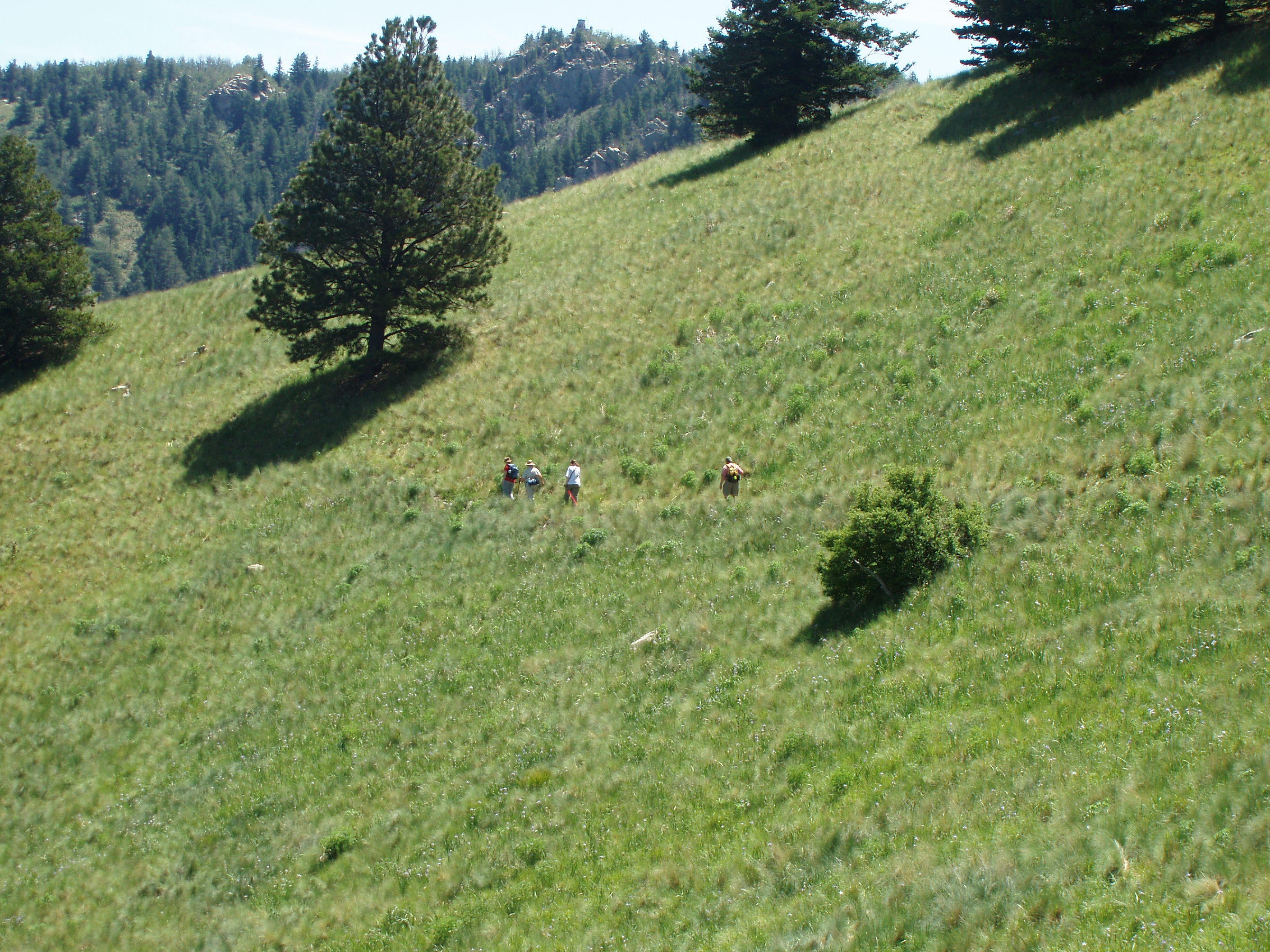 hikers leaving me behind.JPG