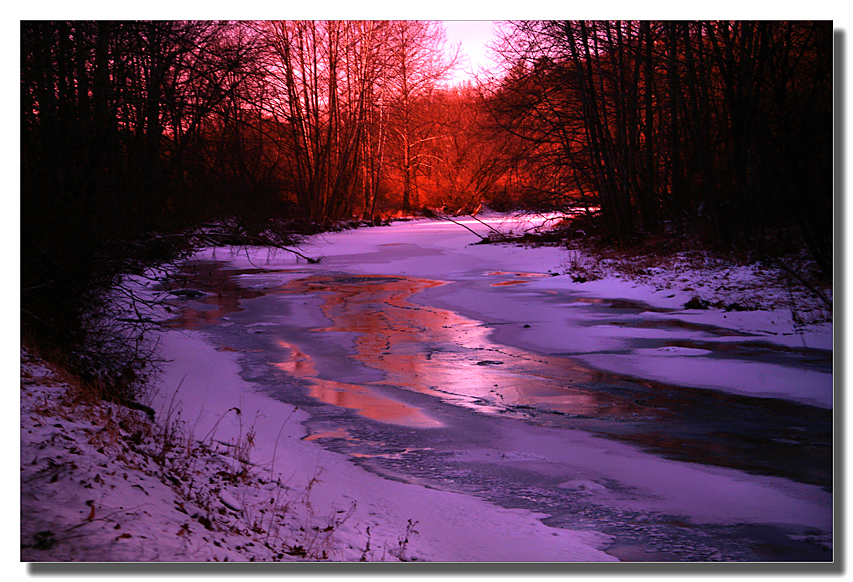 Winter freeze.