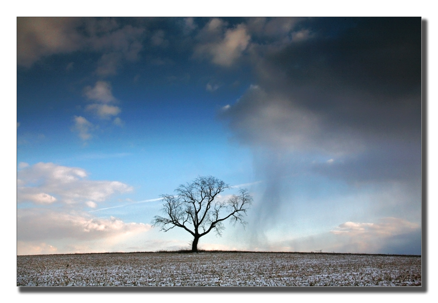 Snow shower approaching.