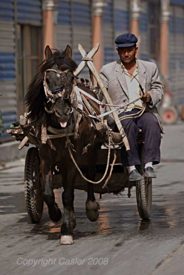 Horse Cart Guy