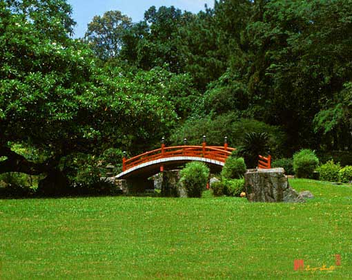 Japanese Garden Bridge and Stone (21M)