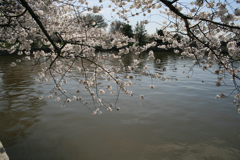 IMG_0428.png