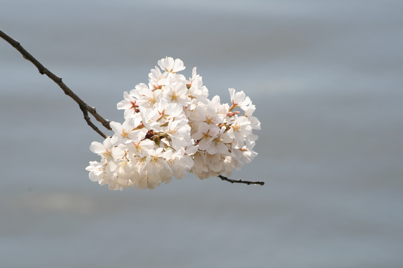 IMG_0438.png