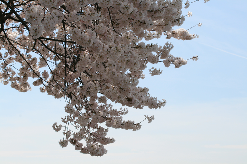 IMG_0442.png