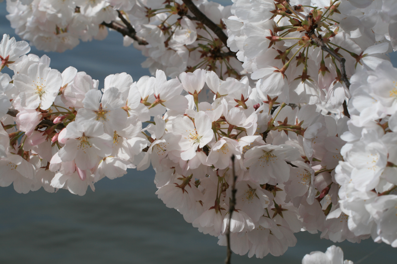 IMG_0444.png