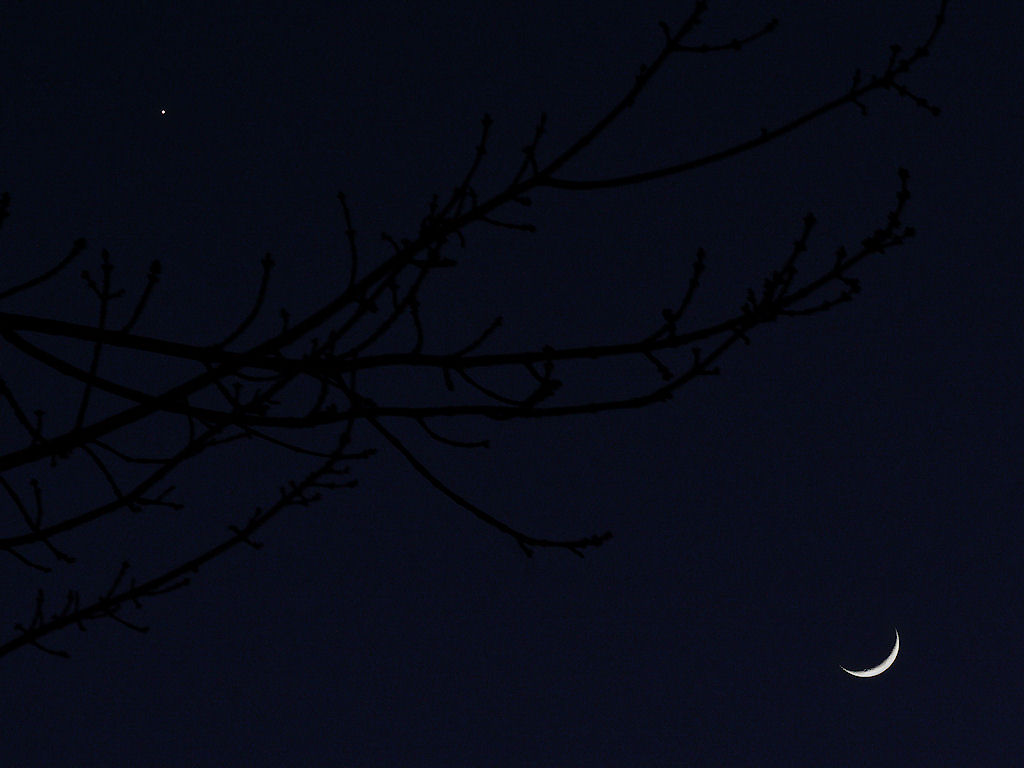 Moon & Venus Conjunction