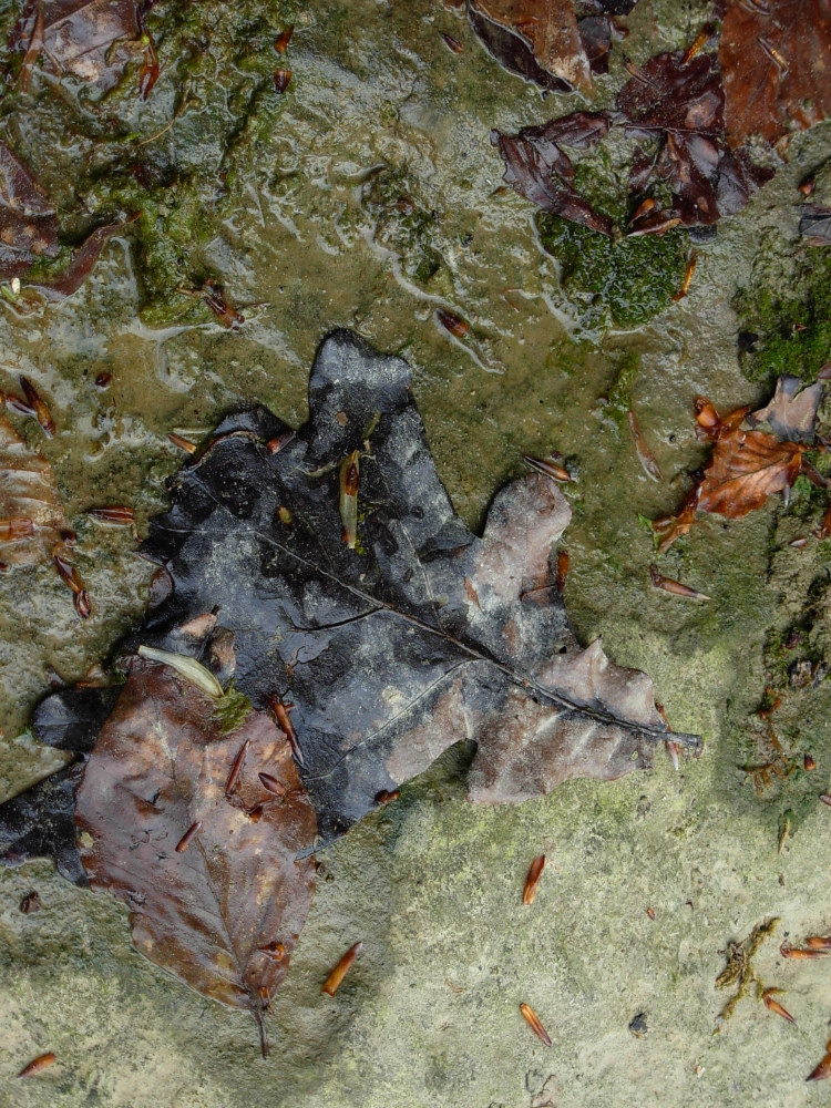 DSCN4795.JPG