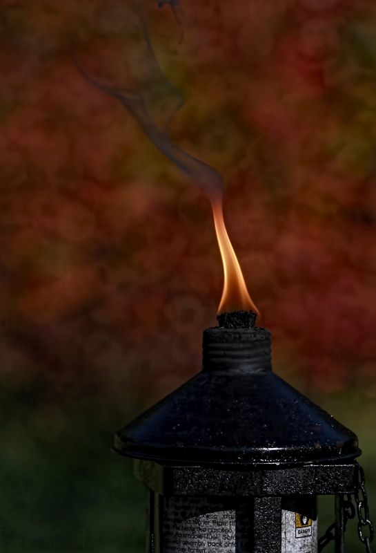 Flame 14.jpg
