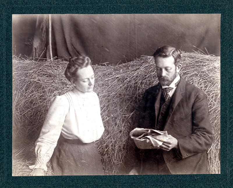 In the Hay 