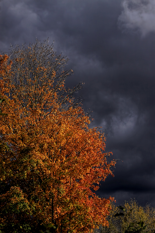 Sun shining Storm brewing