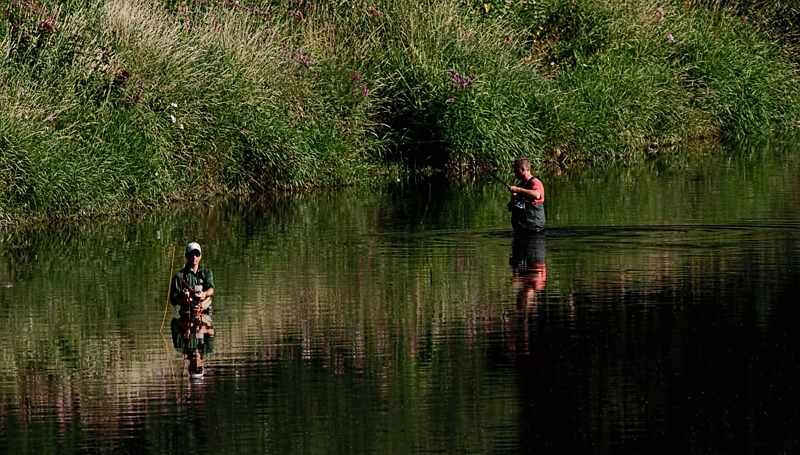Fishing on the Grand 