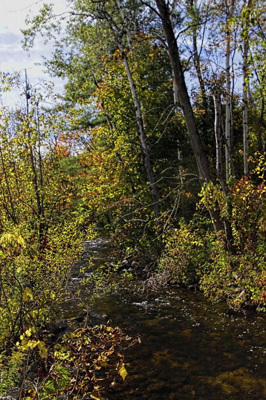 Near Campbellville 