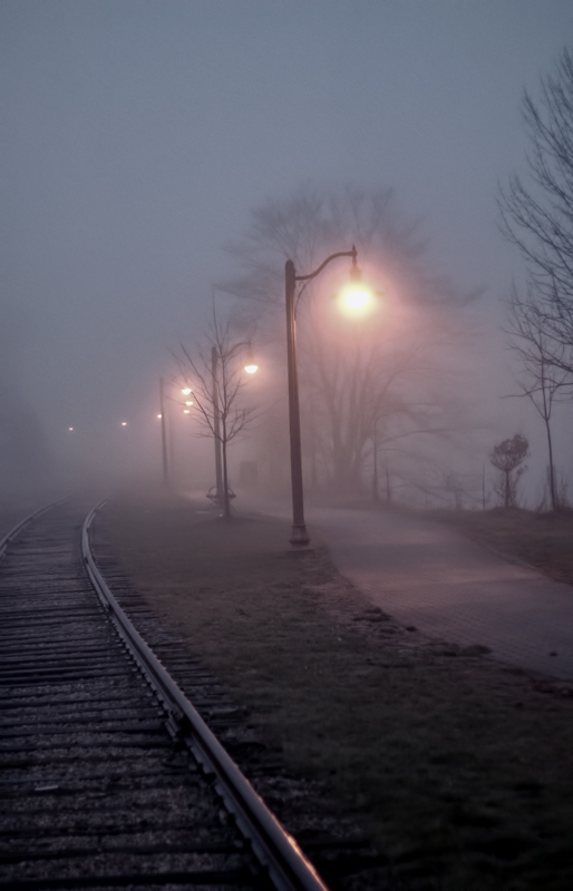 Along the Tracks 
