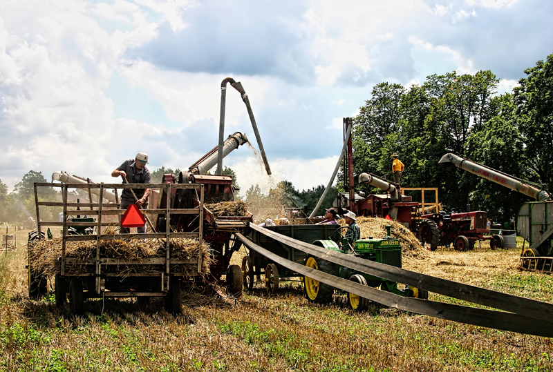Threshing Time 