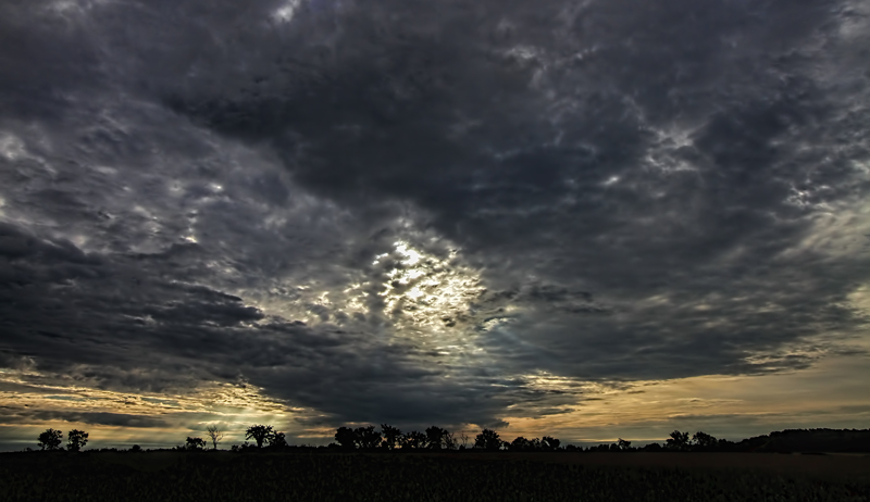 A Chance of Rain 