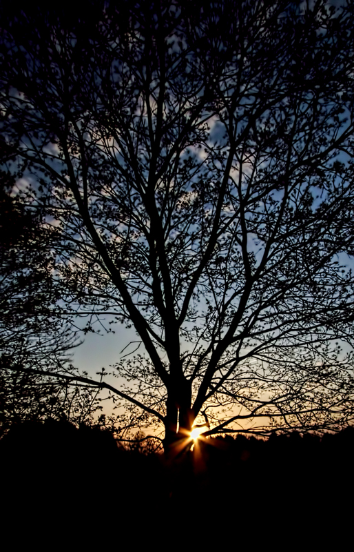 Last Rays 