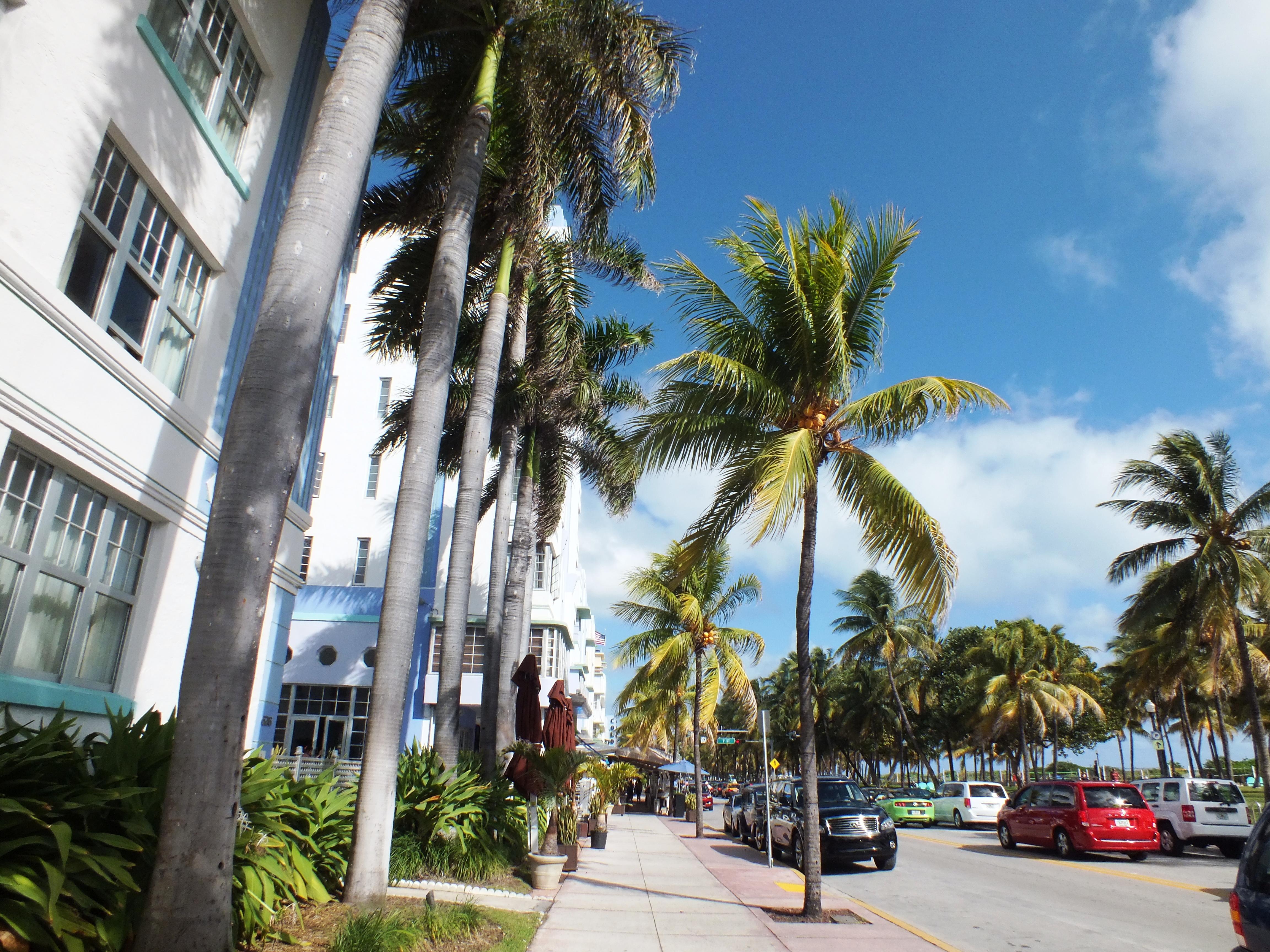 Ocean Drive