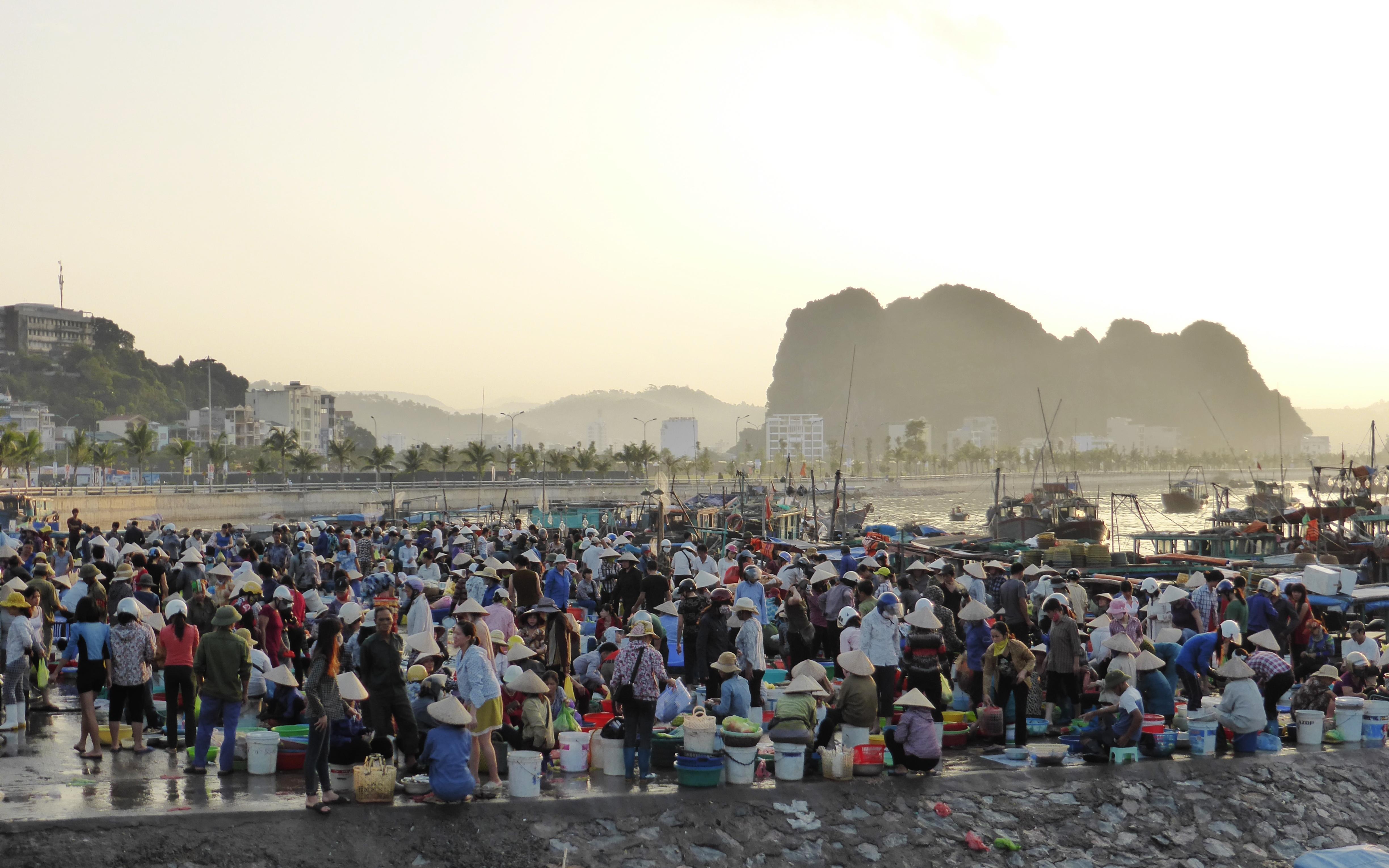 Local morning fish market in Hon Gai
