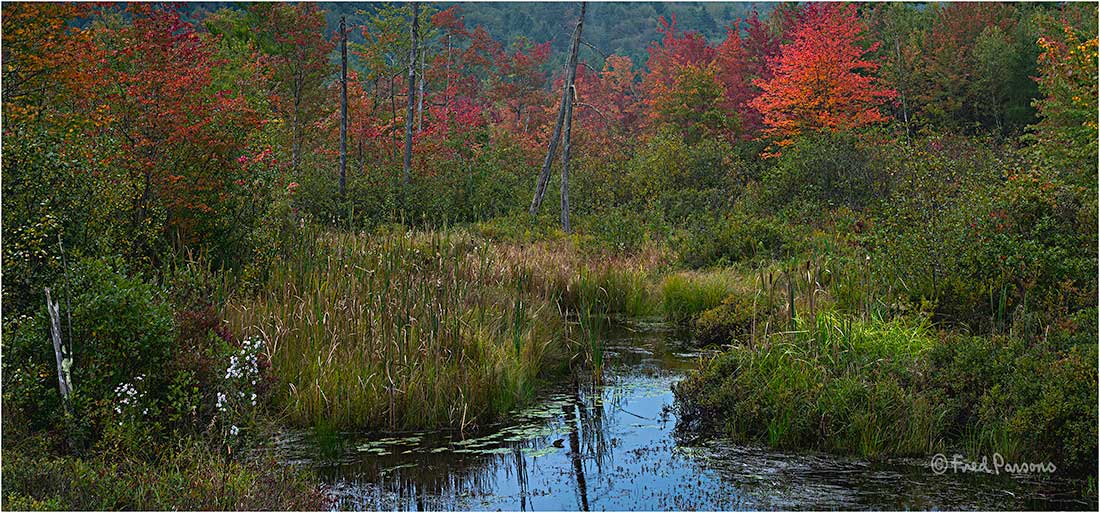 _DSC1655 Inlet to Stocker Pond