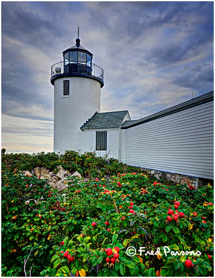_DSC3401_Goat Island Light  #5 