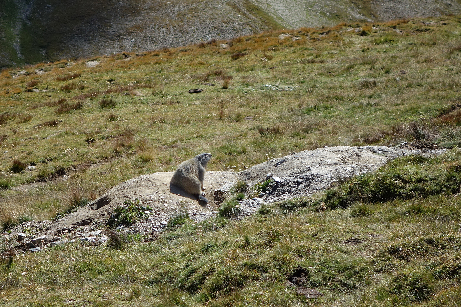 Valle Maira - Monte Bellino