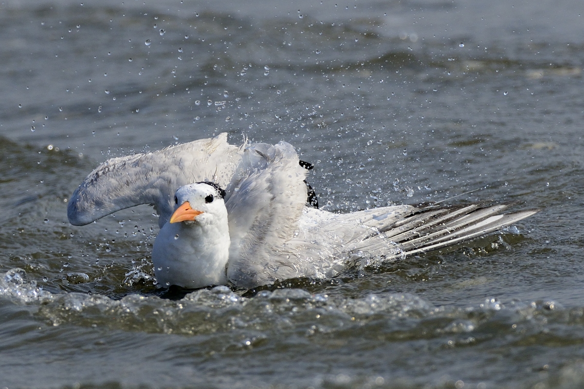 Taking a Bath