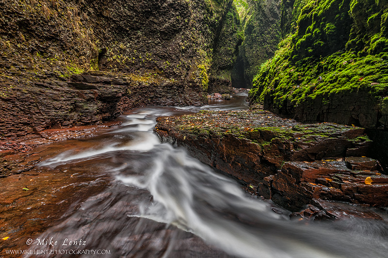 Natures force