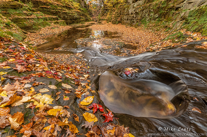 Autumns Echo