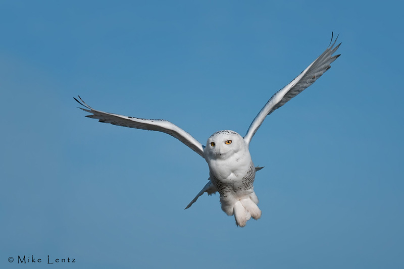 Posing in the sky