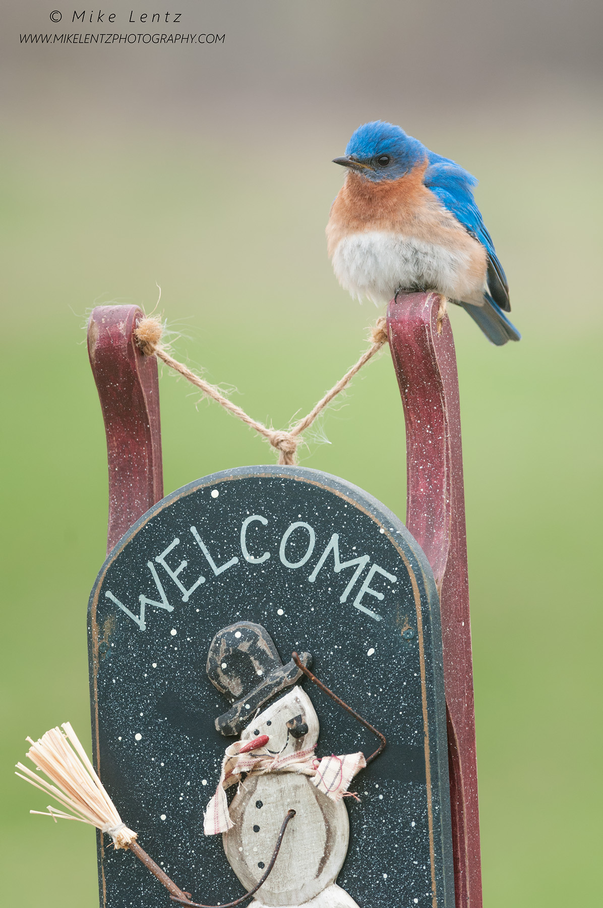 Bluebird on snowman welcome sign