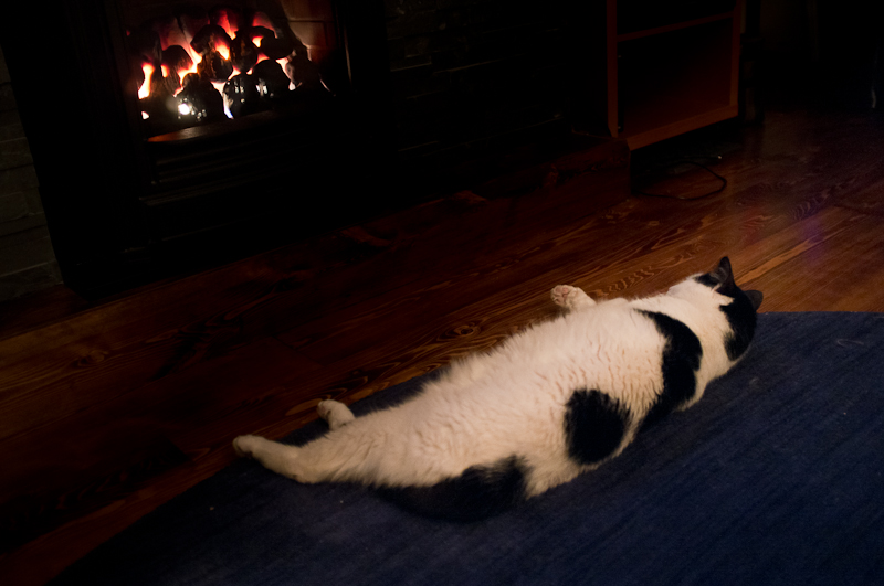New Sleeping Spot