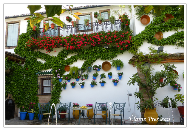 P1010448-patio andaluz