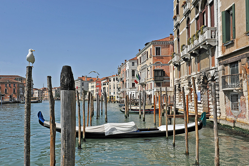 08_Venice_2011.jpg