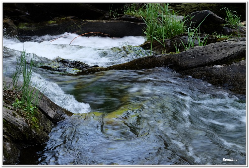Les chutes Burrough 04 .jpg