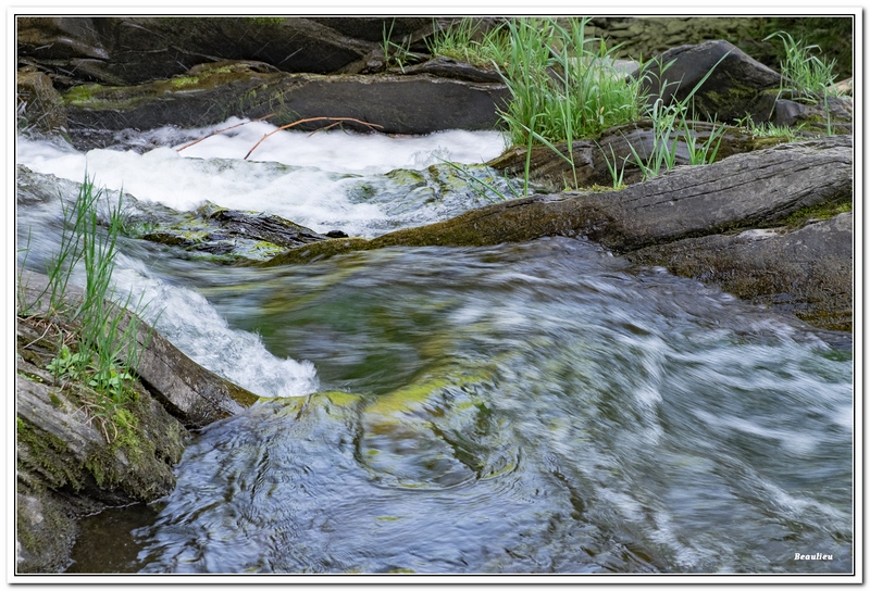 Les chutes Burrough 05 .jpg