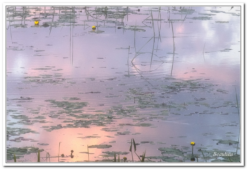 Au petit-matin  Early morning 