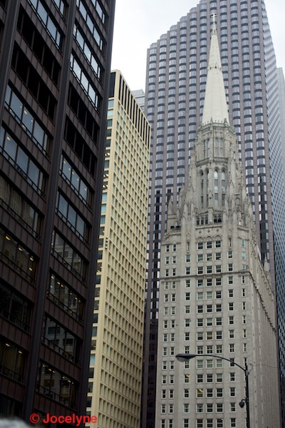 _DSC8130.jpg