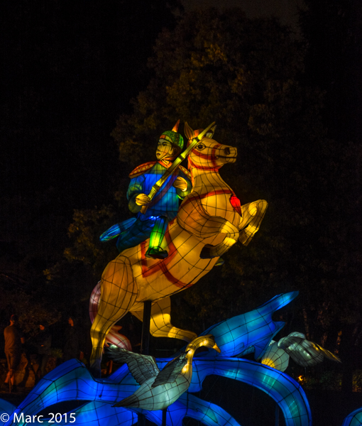 DSCF5219.jpg