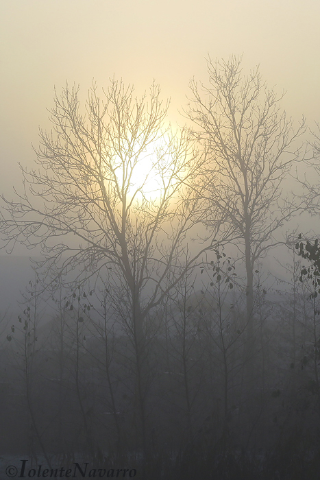 Zonsopkomst 