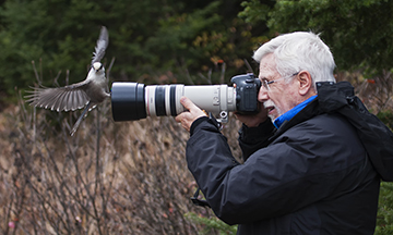 Photographing a gray jay, Canada