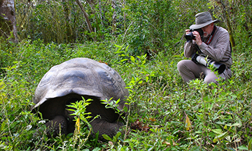 Photographing a giant tortoise