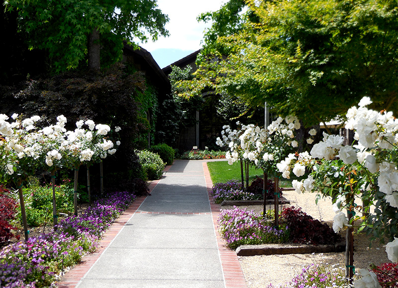  Dry Creek garden path