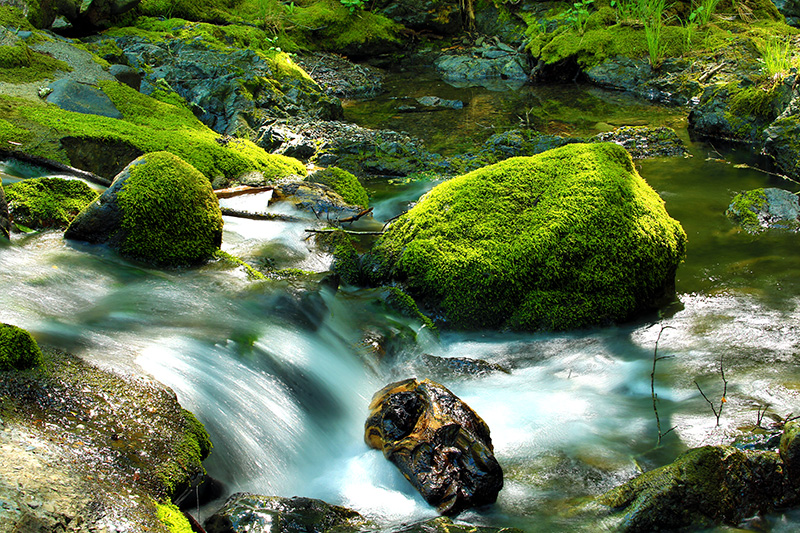 Santa Rosa Creek Headwaters