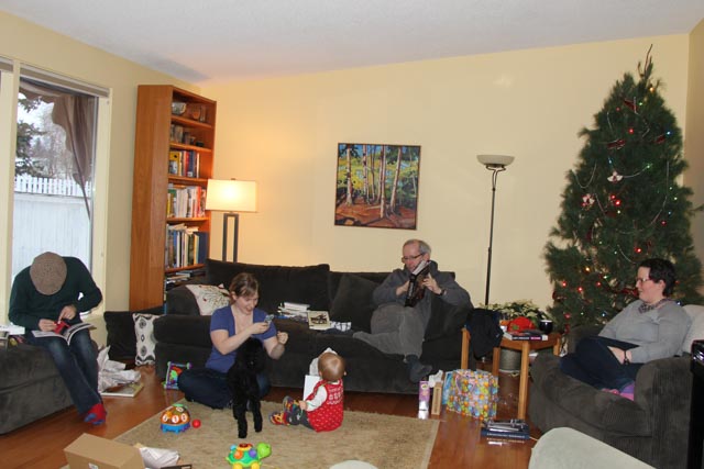 Christmas Day 2014 Living room.jpg