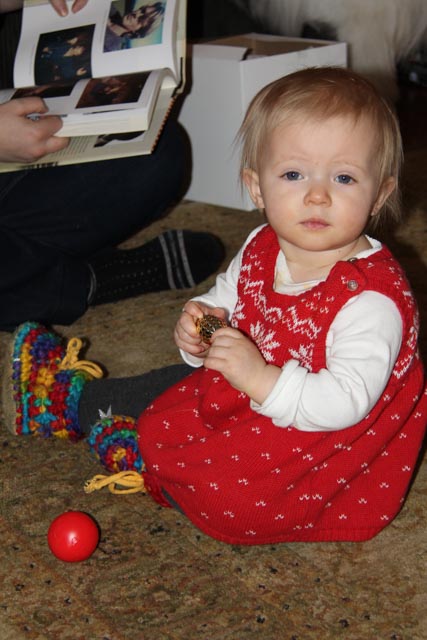 Christmas Day 2014 Rosie 2.jpg