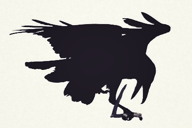 Raven with a stick.jpg