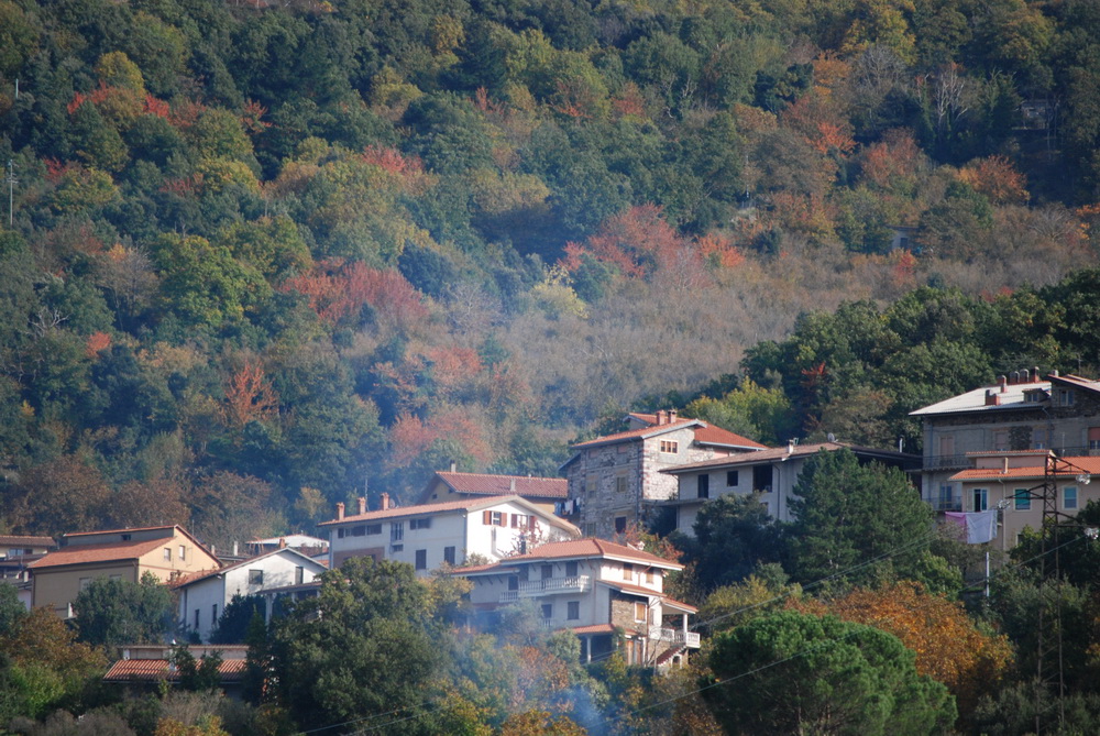 Aritzo autunnale