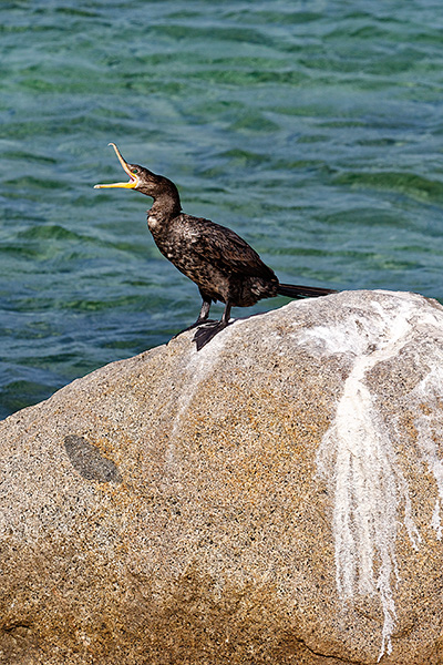 _02C9378_DxO.jpg